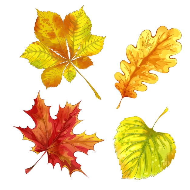 Premium Vector Set Of Autumn Fallen Leaves With Watercolor Texture