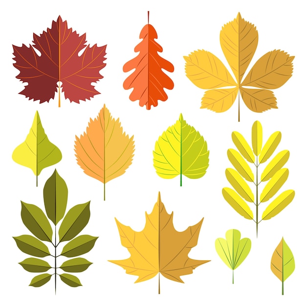 Premium Vector | Set of autumn leaves