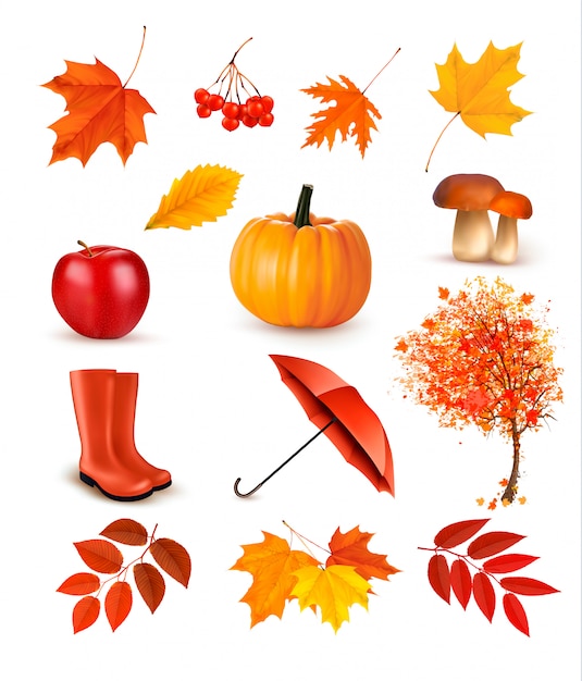 premium-vector-set-of-autumn-themed-objects-vector