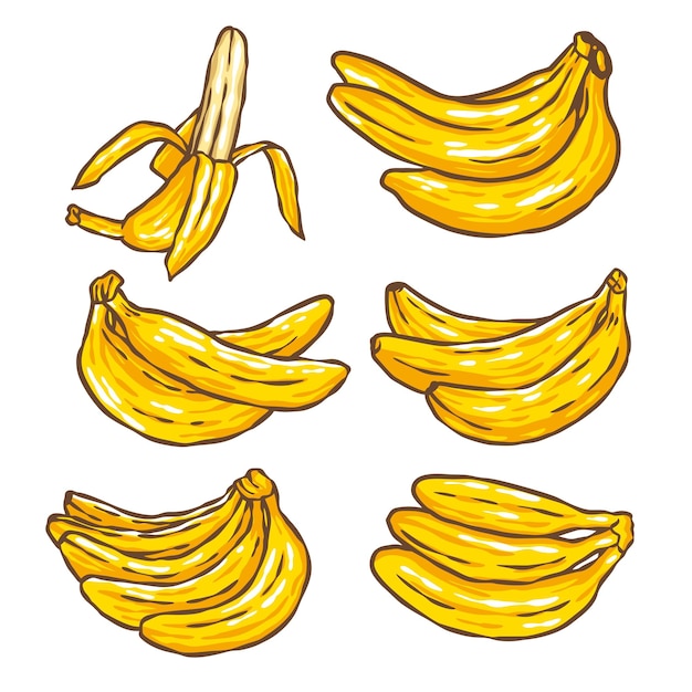 Premium Vector Set Of Banana Hand Drawn Illustration Collections