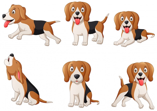 Premium Vector | Set of beagle dog cartoon. illustration