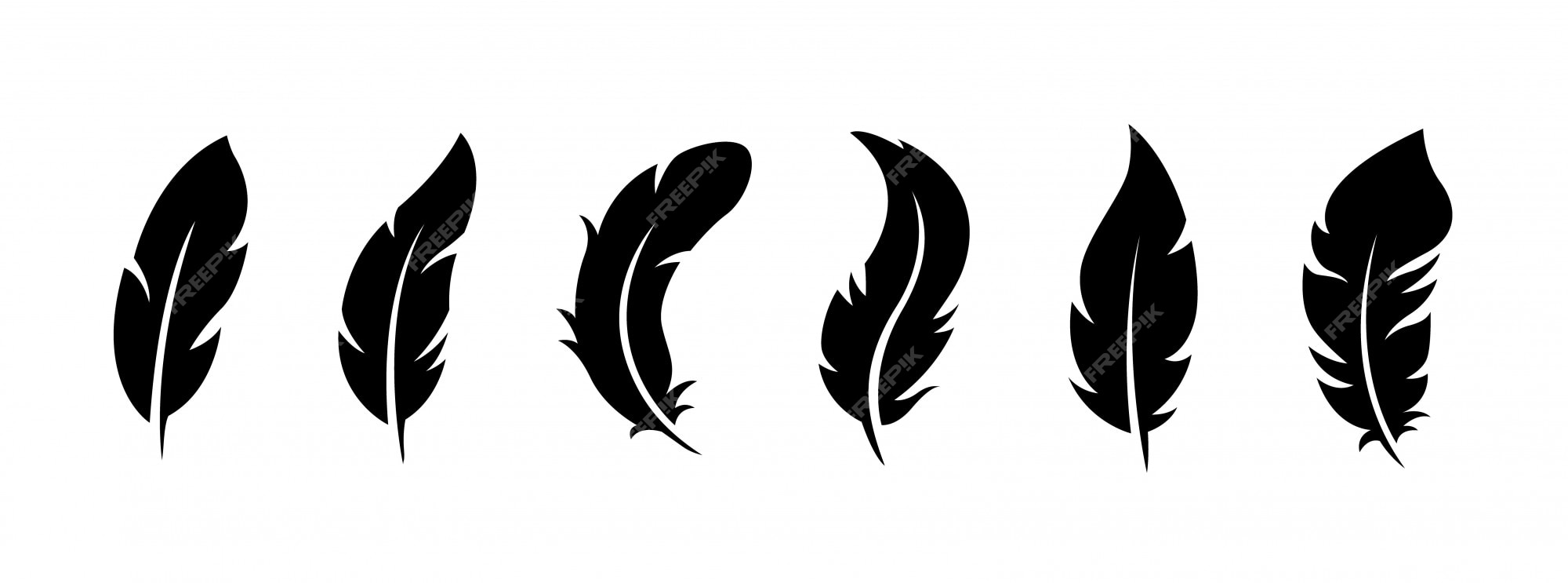 Premium Vector | Set of bird feathers on a white background.