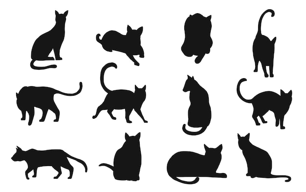 Download Set of black cat. black cat silhouette on white background ...