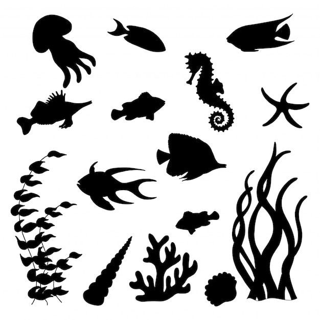 Premium Vector | Set of black silhouettes of sea fish