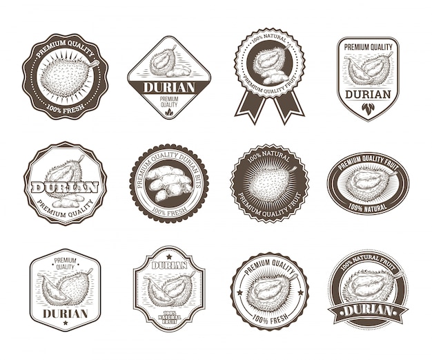 Set of black and white vector badges, stickers, high quality signs, with durian fruit Free Vector