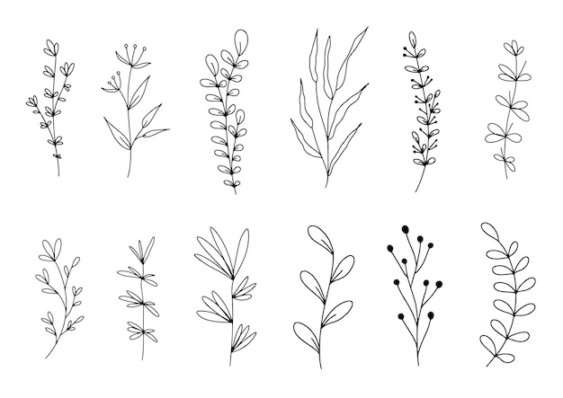 Premium Vector | Set of botanical line art floral leaves plants hand ...