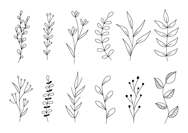 Premium Vector | Set of botanical line art floral leaves plants hand ...