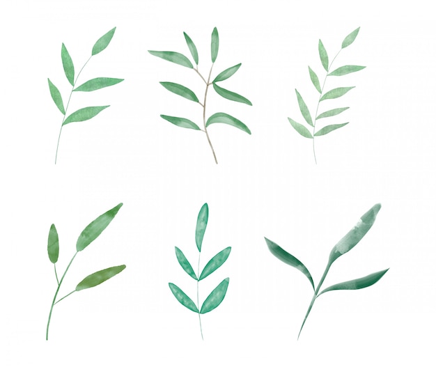 Premium Vector | Set botanical watercolour leaves digital clip art.