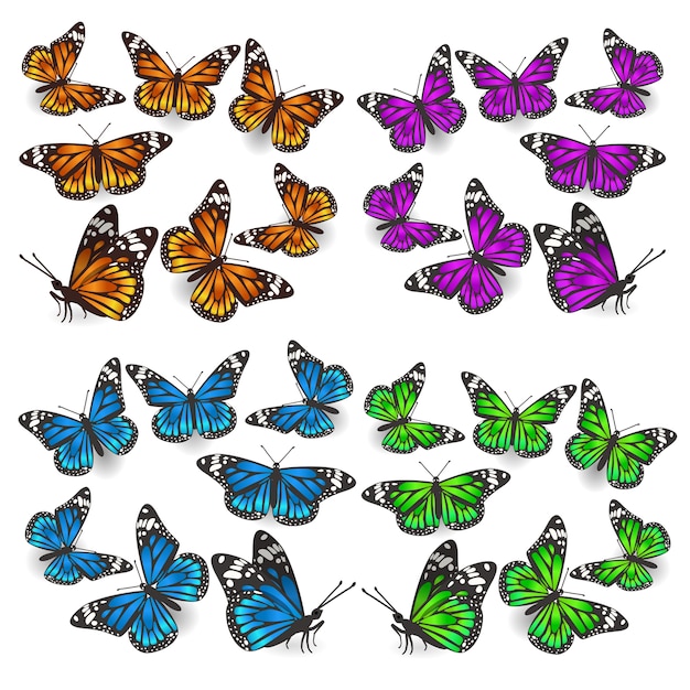 premium-vector-a-set-of-butterflies-in-different-angles-different-colors