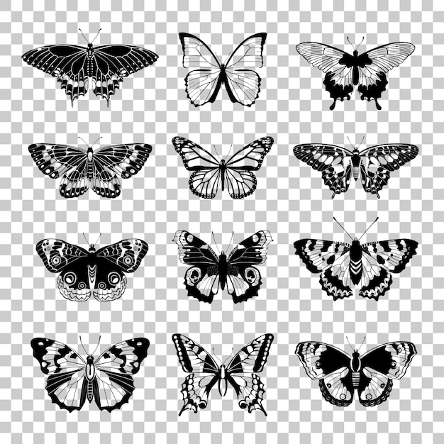 Download Set of butterflies silhouettes | Premium Vector