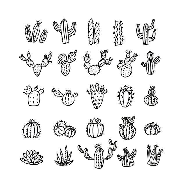 Premium Vector | Set of cacti in line style