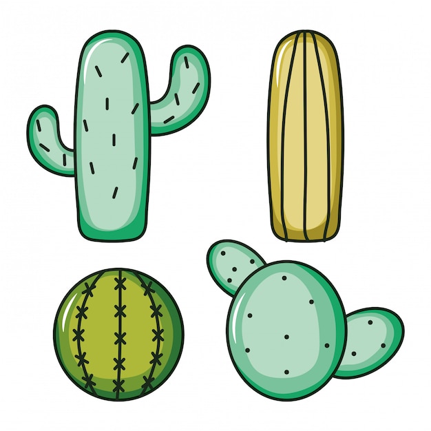 Set of cactus plants nature Premium Vector