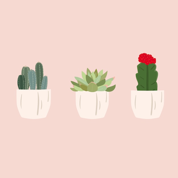 Download Set of cactus succulent plant. cute trendy vector ...