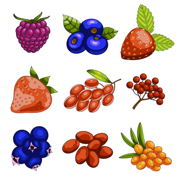 Premium Vector | Set of cartoon berries