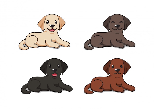 Premium Vector | Set of cartoon character labrador retriever dog