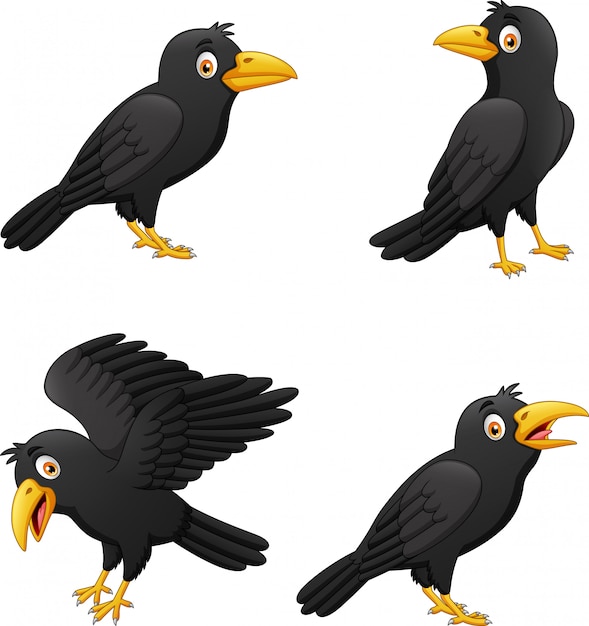 Premium Vector Set Of Cartoon Crow With Different Expressions