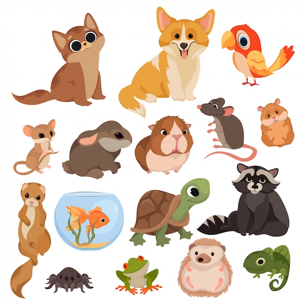 Premium Vector | Set of cartoon pets. collection of various domestic ...