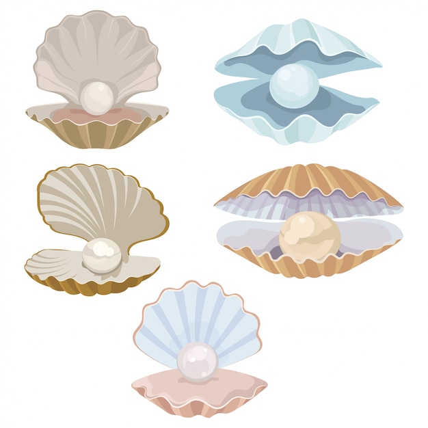 Premium Vector | Set of cartoon seashell with a pearl. seashell ...