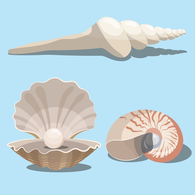 Premium Vector | Set of cartoon seashells. a collection of sea shells ...