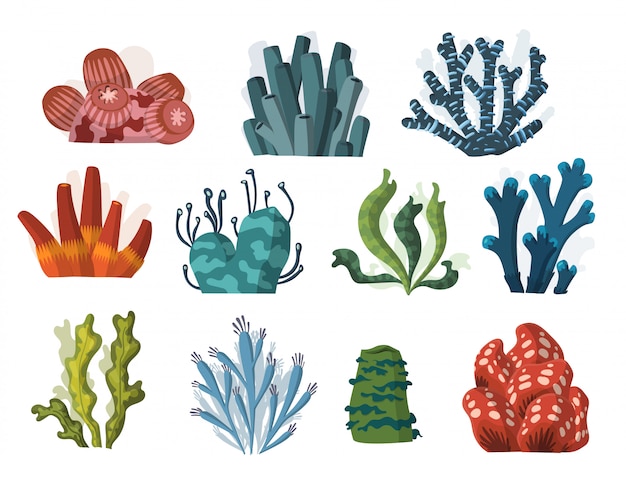 Premium Vector | Set of cartoon underwater plants and creatures.