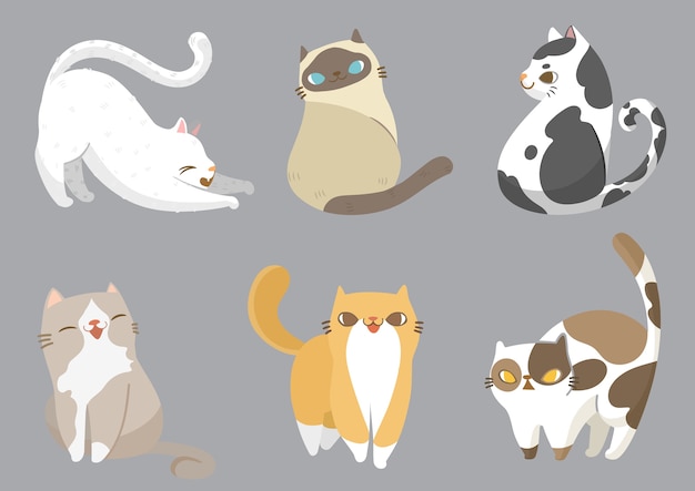 Set of cats in different poses. | Premium Vector