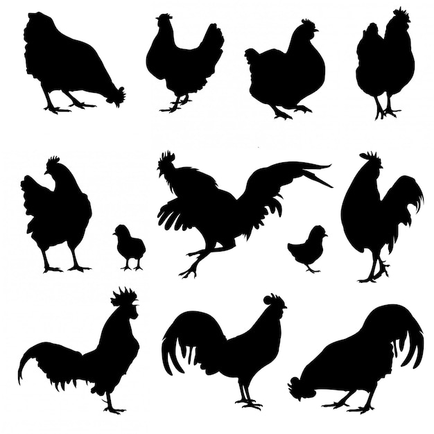 Download Silhouette Chicken Leg Vector / Free chicken silhouette ...