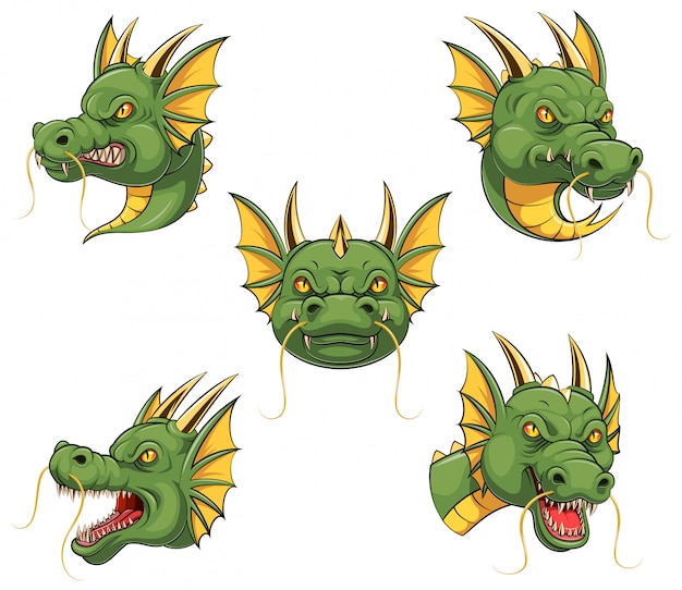 Set Collection Of Dragon Head Mascot Premium Vector 4476