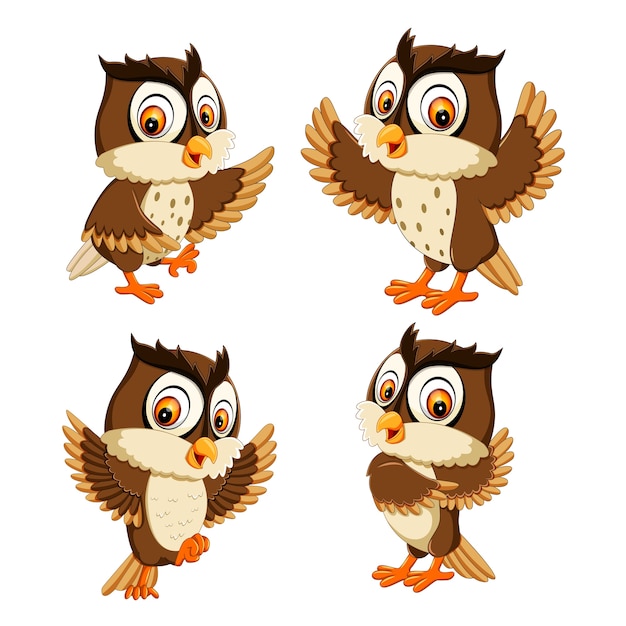 Set collection of  owl bird cartoon Premium Vector