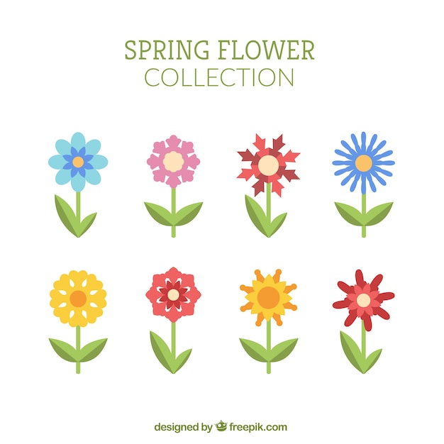Free Vector | Set of colored flowers