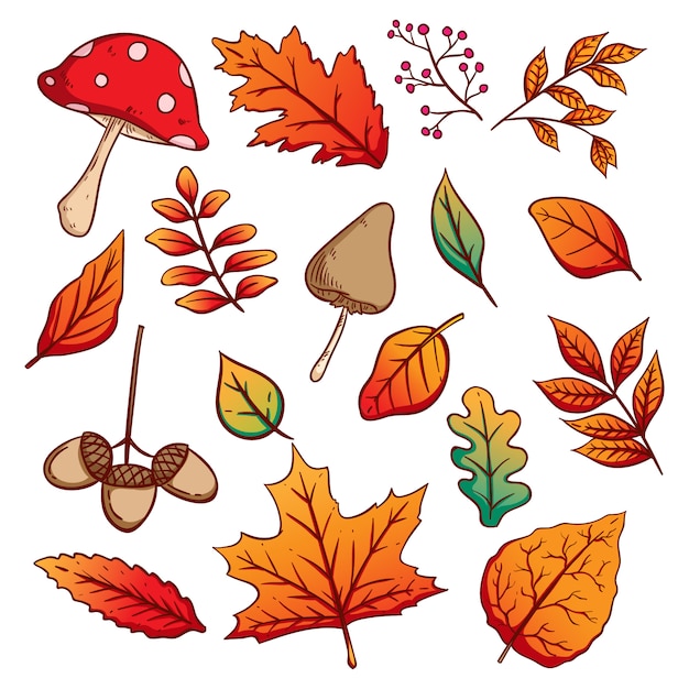 Premium Vector | Set of colorful autumn leaves, acorns and mushrooms ...