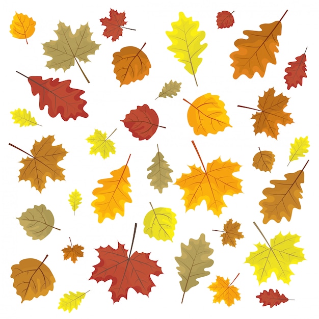 Set of colorful autumn leaves. design elements vector illustration. leafs in random. Premium Vector