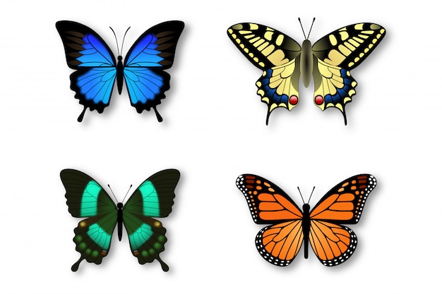 Download Set of colorful butterflies | Premium Vector