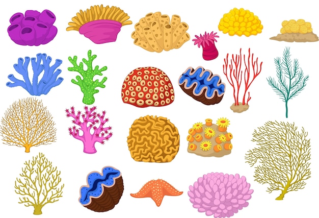 Set of colorful corals | Premium Vector