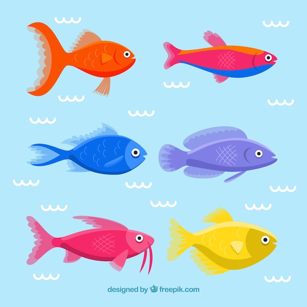 Free Vector | Set of colorful fishes in hand drawn style