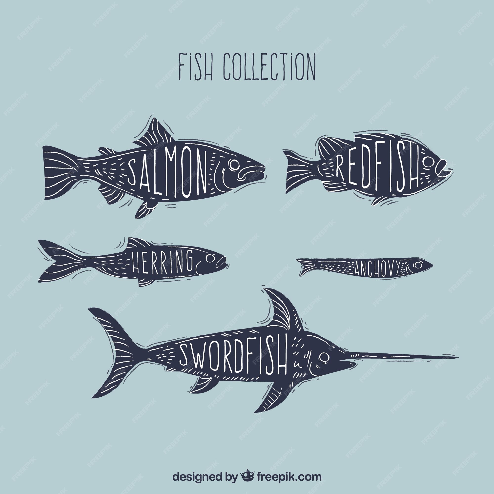 Free Vector | Set of colorful fishes in hand drawn style