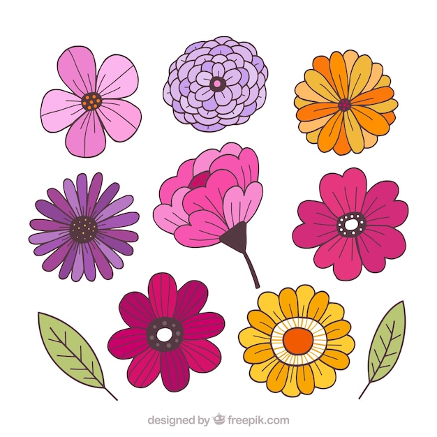 Set of colorful flowers in hand drawn style Vector | Free Download