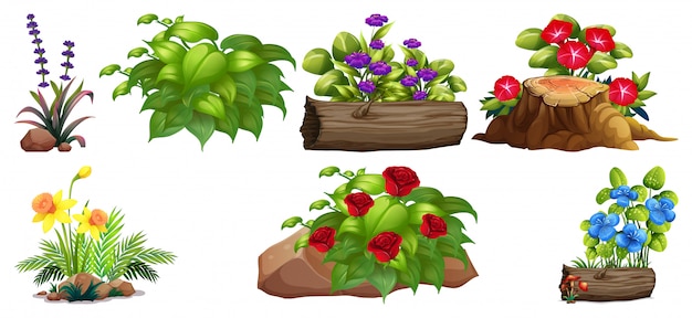 Free Vector | Set of colorful flowers on rocks and wood