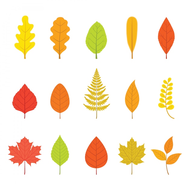 Premium Vector | Set of colorful leaves with different shapes