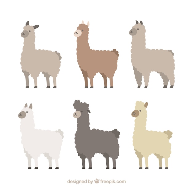 Free Vector Set Of Cute Alpacas