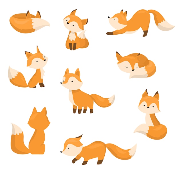 A set of cute cartoon foxes in different actions. illustration in flat ...