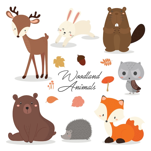 Premium Vector | Set of cute illustration of woodland animals