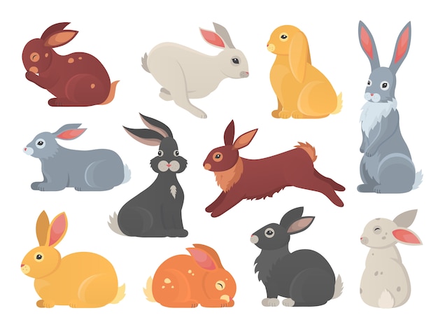 Premium Vector Set Of Cute Rabbits In Cartoon Style Bunny Pet