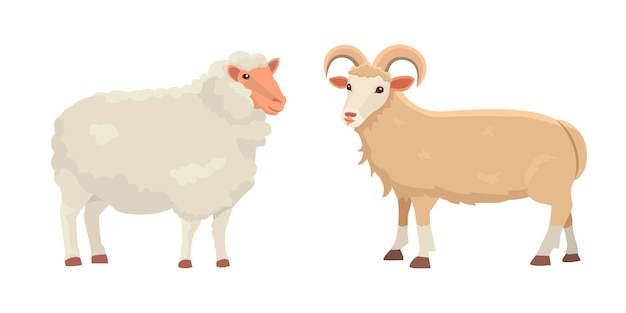 かわいい羊とラムの孤立したレトロなイラストを設定します 白地に立っている羊のシルエット ファームファニーミルク若い動物 プレミアムベクター