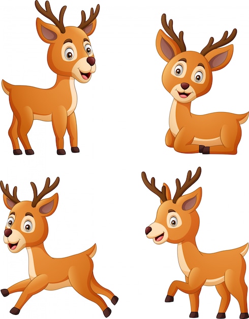 Premium Vector Set Of Deer Cartoon Character Isolated On White