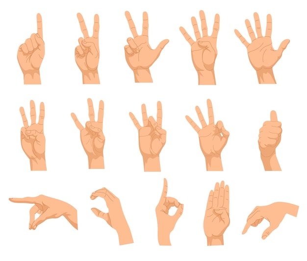 Premium Vector | Set of different hand gestures. illustrations of human ...