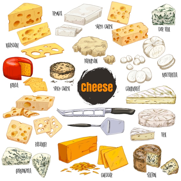 Premium Vector Set of different kinds of cheese, color hand drawn.