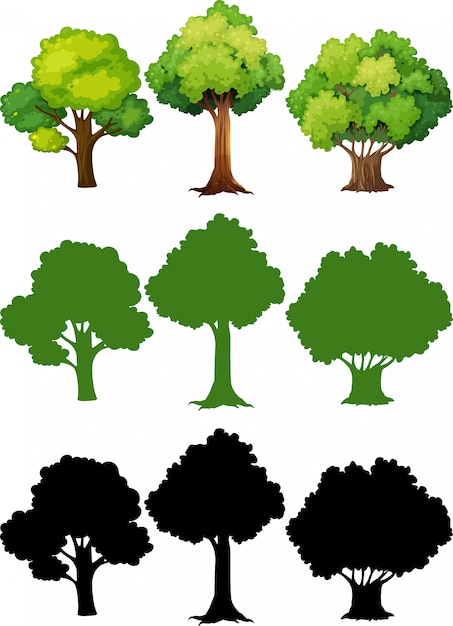 Set of different tree Free Vector
