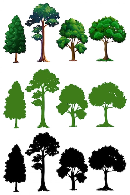 Premium Vector | Set of different tree