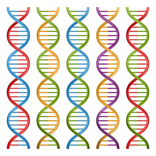 Premium Vector | Set of dna symbols for science and medicine.