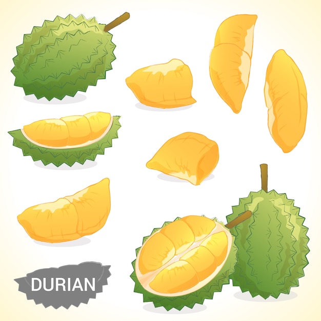 Download Free Durian Images Free Vectors Stock Photos Psd Use our free logo maker to create a logo and build your brand. Put your logo on business cards, promotional products, or your website for brand visibility.